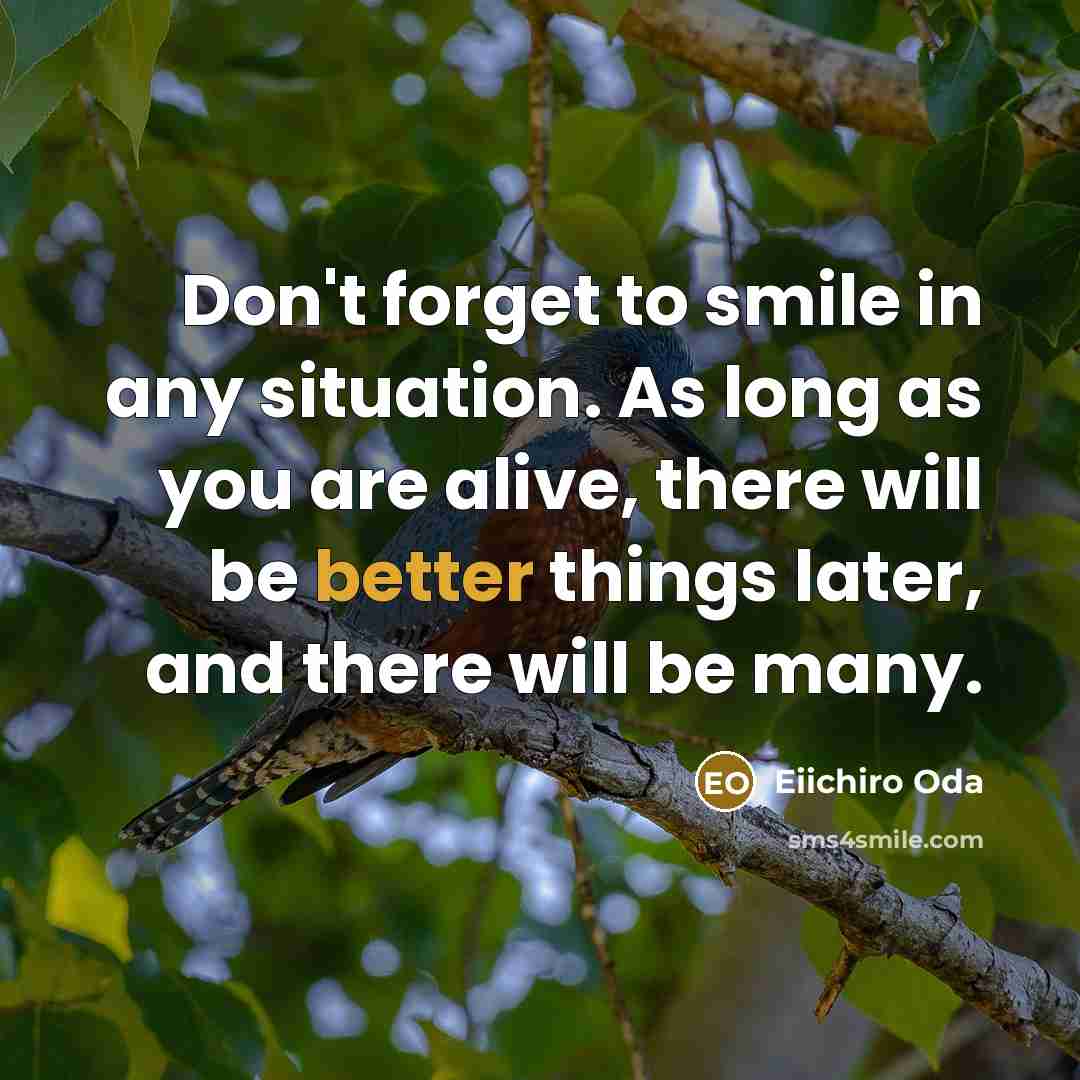 “Don't forget to smile in any situation. As long as you are alive, there will be better things later, and there will be many.” quote by Eiichiro Oda
