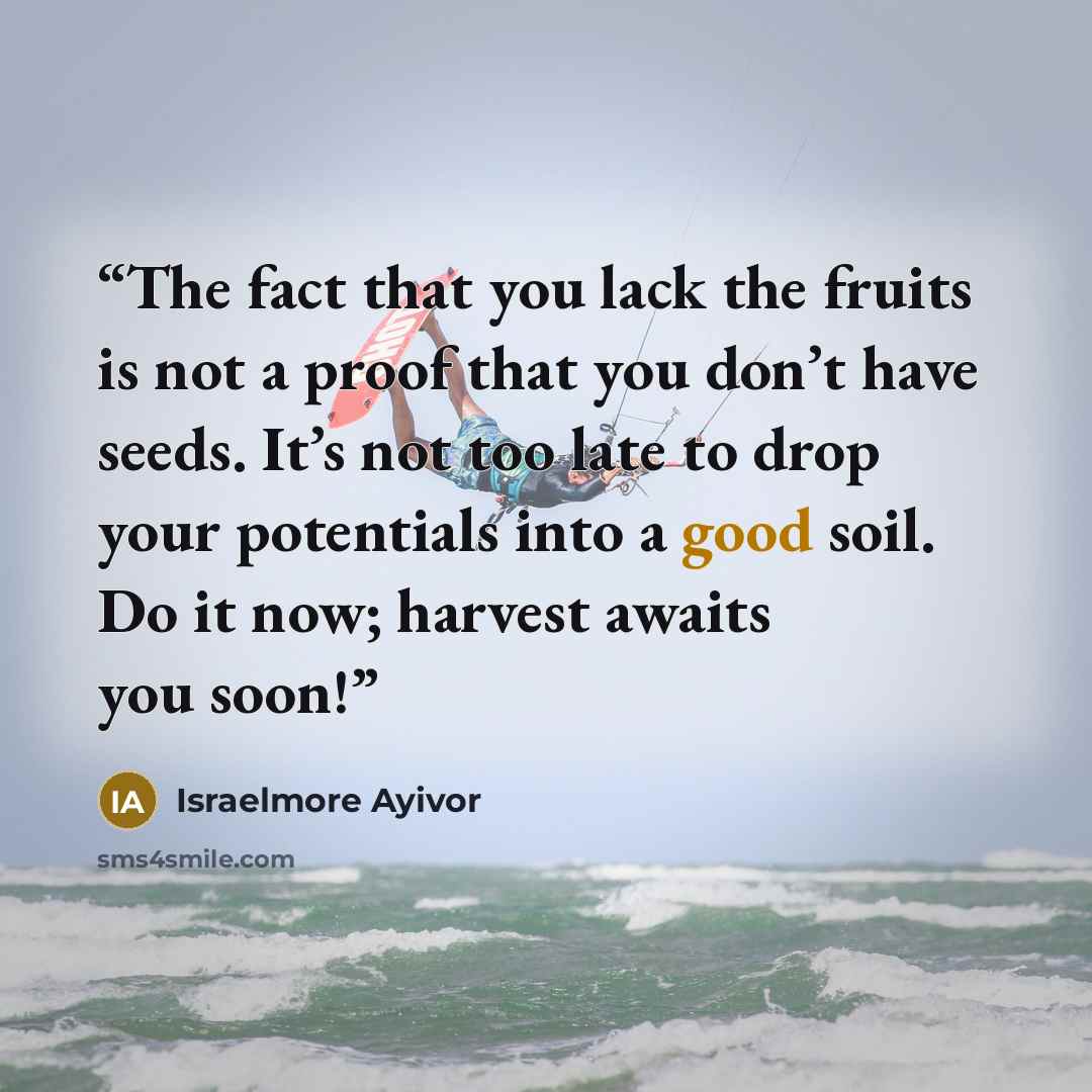 “The fact that you lack the fruits is not a proof that you don’t have seeds. It’s not too late to drop your potentials into a good soil. Do it now; harvest awaits you soon!” quote by Israelmore Ayivor