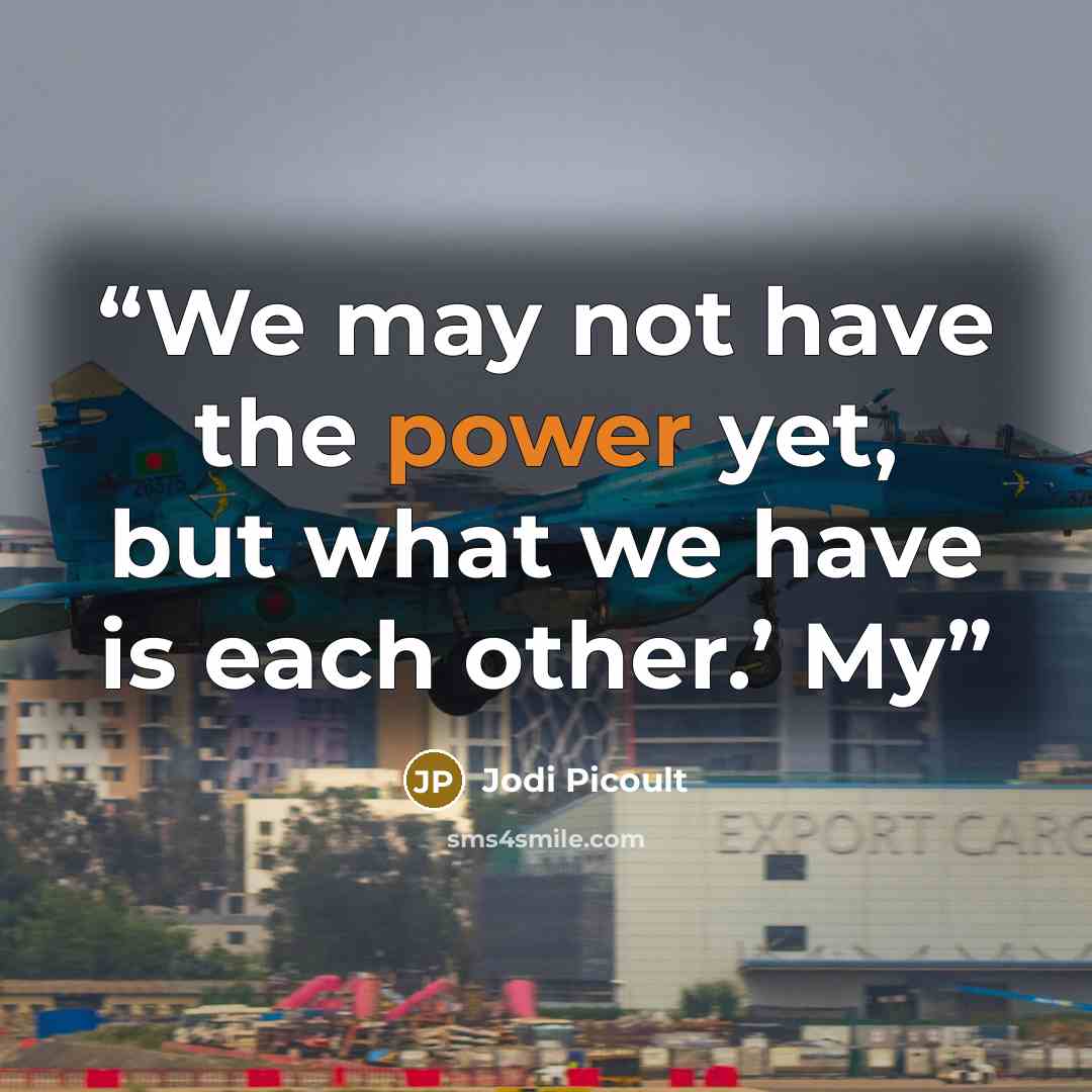 “We may not have the power yet, but what we have is each other.’ My” quote by Jodi Picoult