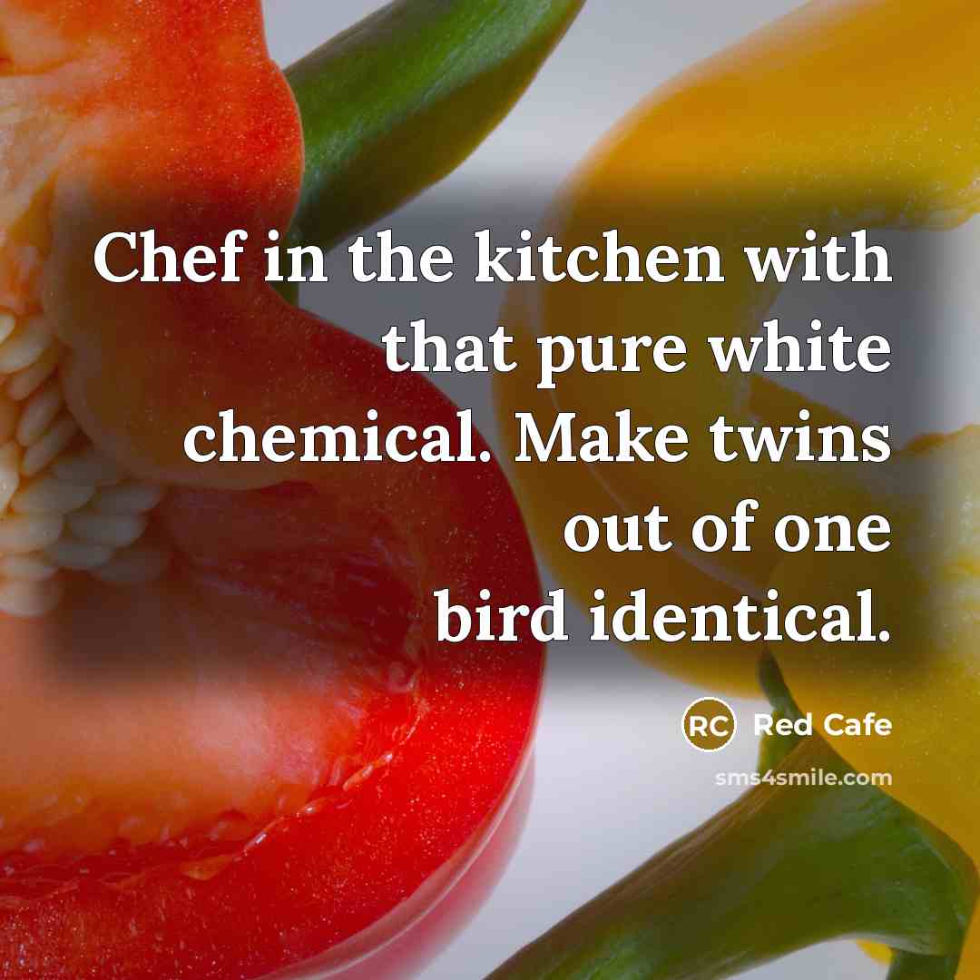 “Chef in the kitchen with that pure white chemical. Make twins out of one bird identical.” quote by Red Cafe