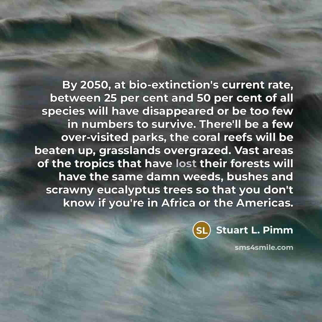 “By 2050, at bio-extinction's current rate, between 25 per cent and 50 per cent of all species will have disappeared or be too few in numbers to survive. There'll be a few over-visited parks, the coral reefs will be beaten up, grasslands overgrazed. Vast areas of the tropics that have lost their…” quote by Stuart L. Pimm