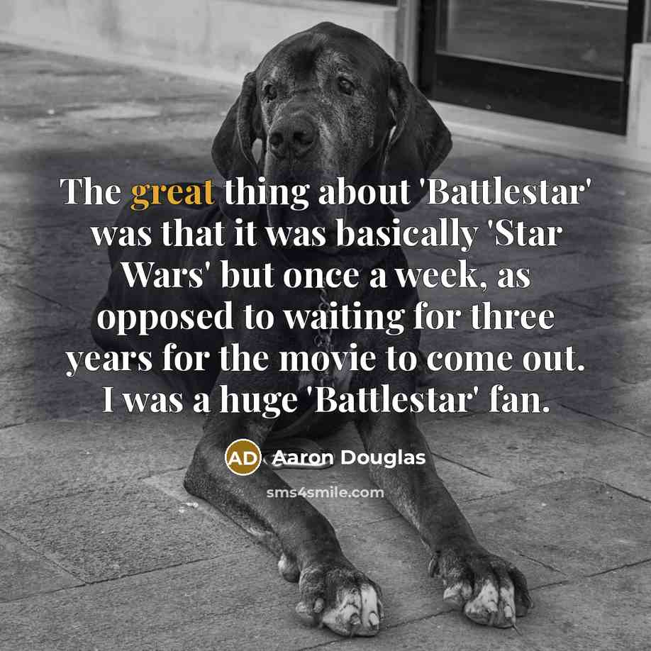 “The great thing about 'Battlestar' was that it was basically 'Star Wars' but once a week, as opposed to waiting for three years for the movie to come out. I was a huge 'Battlestar' fan.” quote by Aaron Douglas