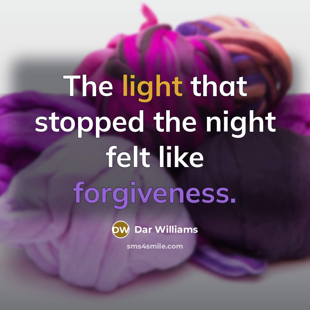 “The light that stopped the night felt like forgiveness.” quote by Dar Williams