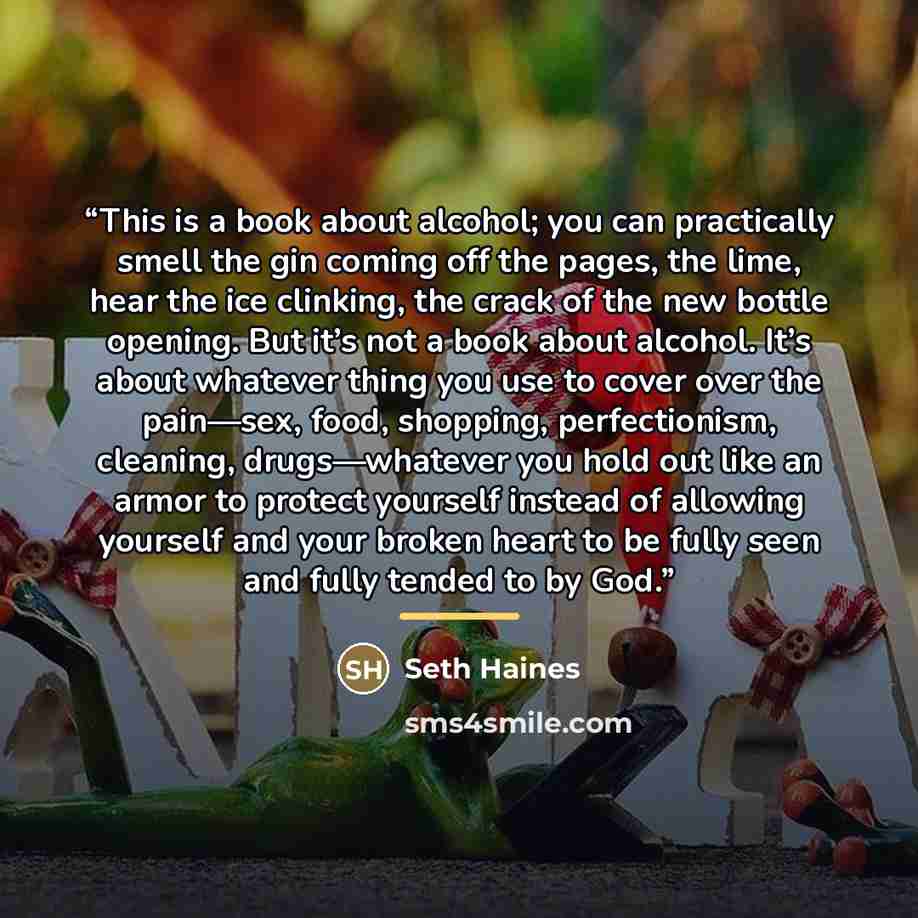 “This is a book about alcohol; you can practically smell the gin coming off the pages, the lime, hear the ice clinking, the crack of the new bottle opening. But it’s not a book about alcohol. It’s about whatever thing you use to cover over the pain—sex, food, shopping, perfectionism, cleaning…” quote by Seth Haines