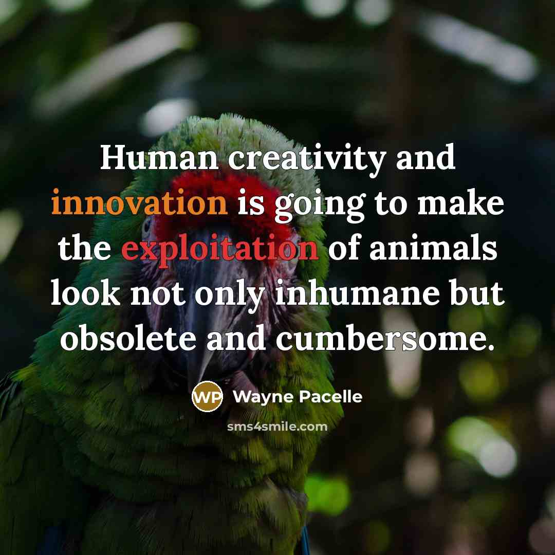 “Human creativity and innovation is going to make the exploitation of animals look not only inhumane but obsolete and cumbersome.” quote by Wayne Pacelle