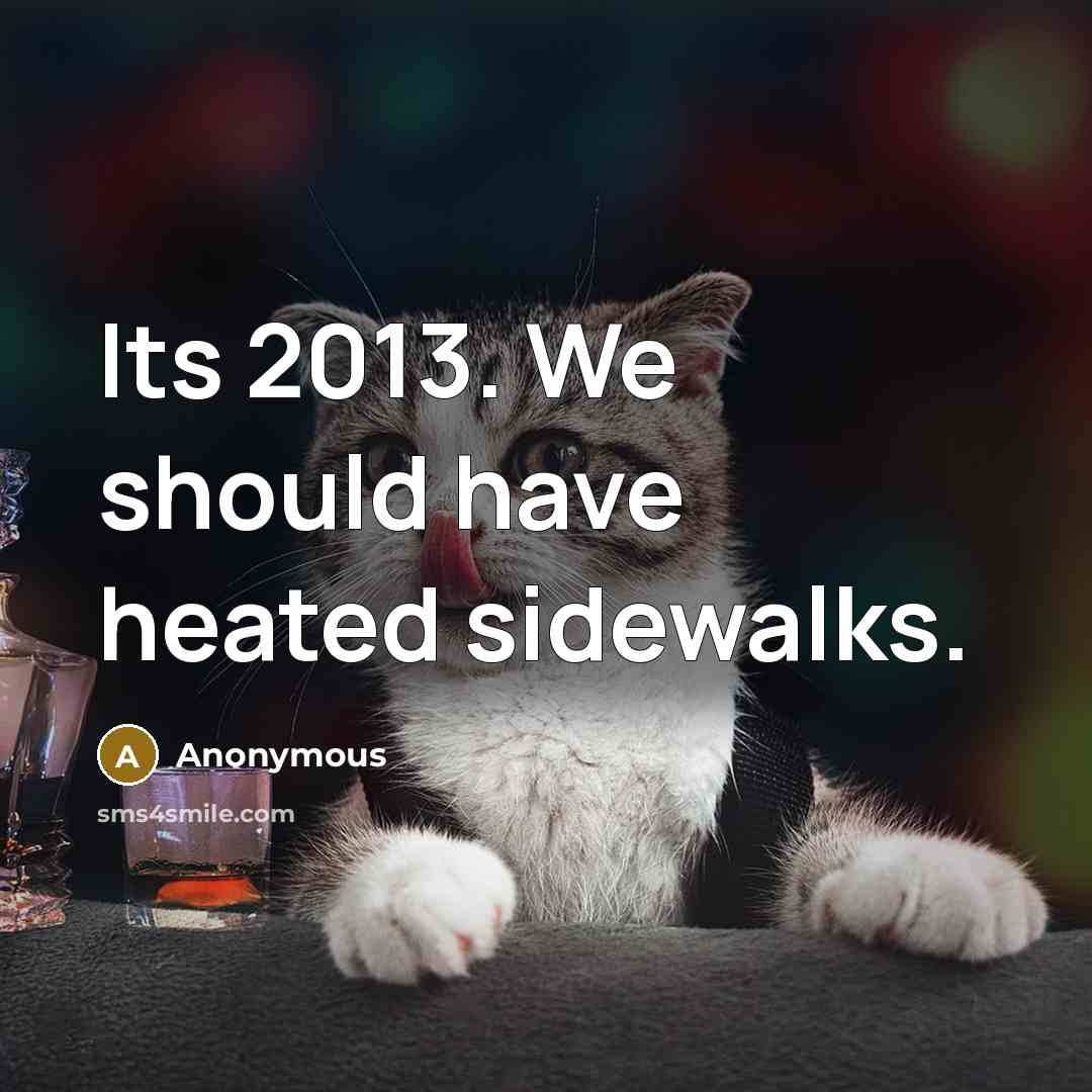 “Its 2013. We should have heated sidewalks.” quote by Anonymous