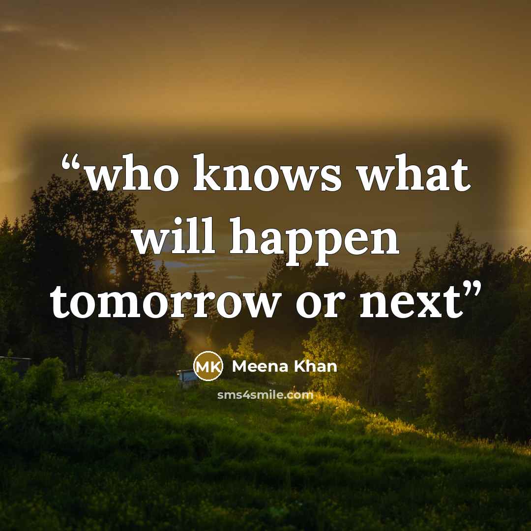 “who knows what will happen tomorrow or next” quote by meena khan