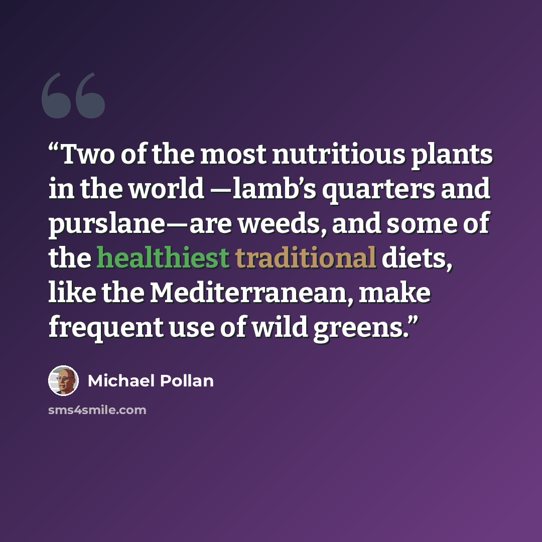 “Two of the most nutritious plants in the world —lamb’s quarters and purslane—are weeds, and some of the healthiest traditional diets, like the Mediterranean, make frequent use of wild greens.” quote by Michael Pollan