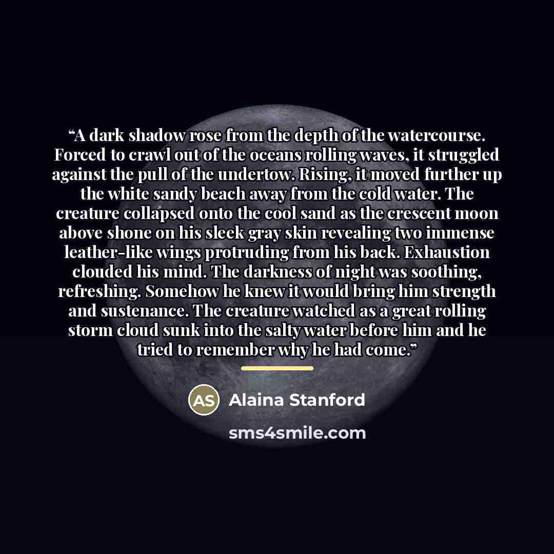 “A dark shadow rose from the depth of the watercourse. Forced to crawl out of the oceans rolling waves, it struggled against the pull of the undertow. Rising, it moved further up the white sandy beach away from the cold water. The creature collapsed onto the cool sand as the crescent moon above…” quote by Alaina Stanford