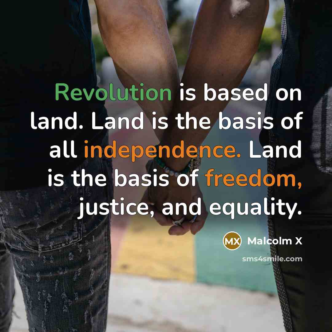“Revolution is based on land. Land is the basis of all independence. Land is the basis of freedom, justice, and equality.” quote by Malcolm X