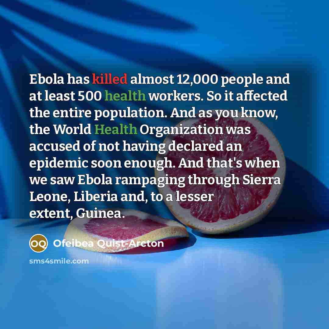 “Ebola has killed almost 12,000 people and at least 500 health workers. So it affected the entire population. And as you know, the World Health Organization was accused of not having declared an epidemic soon enough. And that's when we saw Ebola rampaging through Sierra Leone, Liberia and, to a…” quote by Ofeibea Quist-Arcton