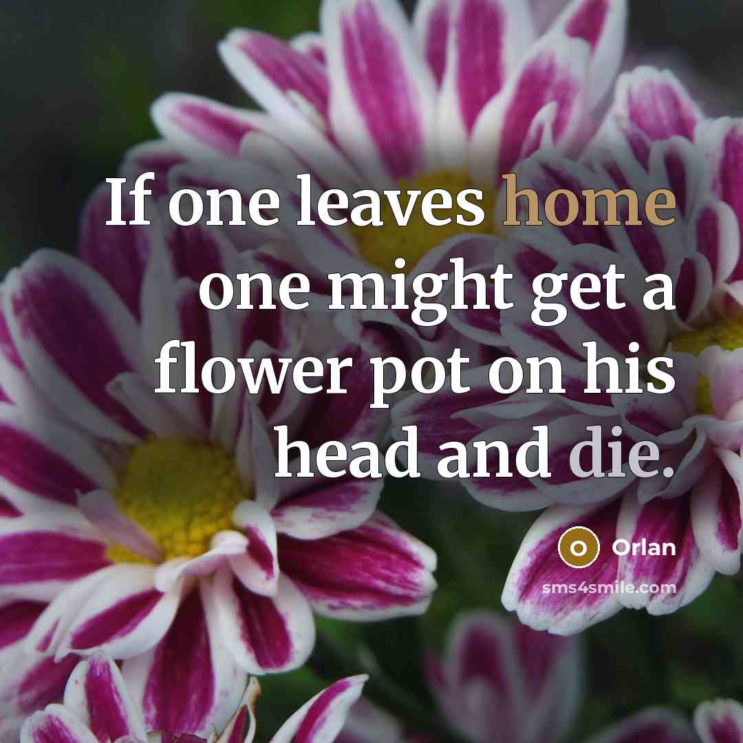 “If one leaves home one might get a flower pot on his head and die.” quote by Orlan