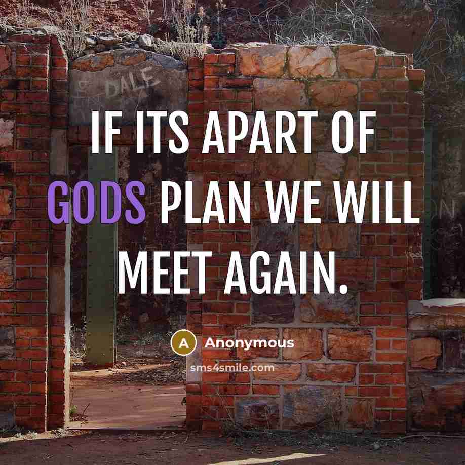 “If its apart of Gods plan we will meet again.” quote by Anonymous