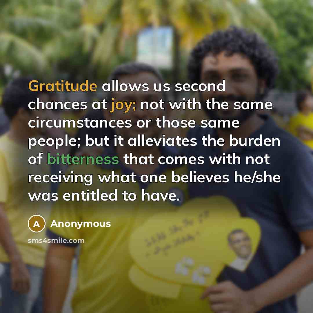 “Gratitude allows us second chances at joy; not with the same circumstances or those same people; but it alleviates the burden of bitterness that comes with not receiving what one believes he/she was entitled to have.” quote by Anonymous