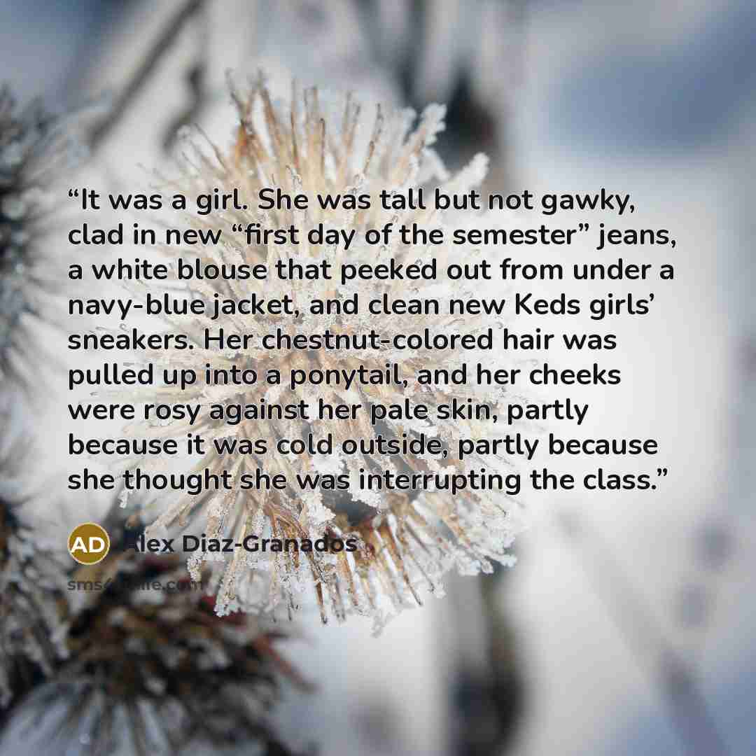 “It was a girl. She was tall but not gawky, clad in new “first day of the semester” jeans, a white blouse that peeked out from under a navy-blue jacket, and clean new Keds girls’ sneakers. Her chestnut-colored hair was pulled up into a ponytail, and her cheeks were rosy against her pale skin…” quote by Alex Diaz-Granados