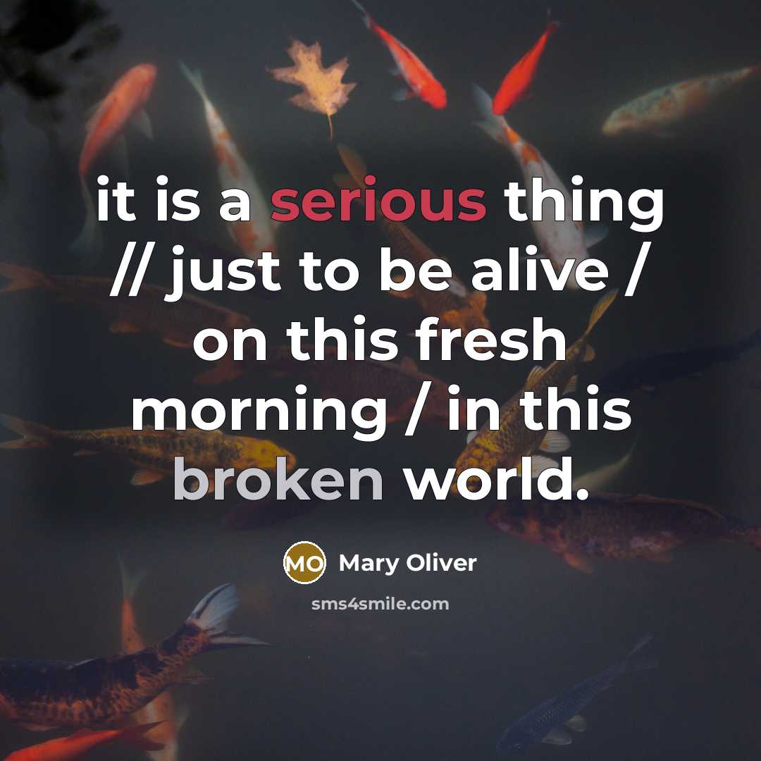 “it is a serious thing // just to be alive / on this fresh morning / in this broken world.” quote by Mary Oliver