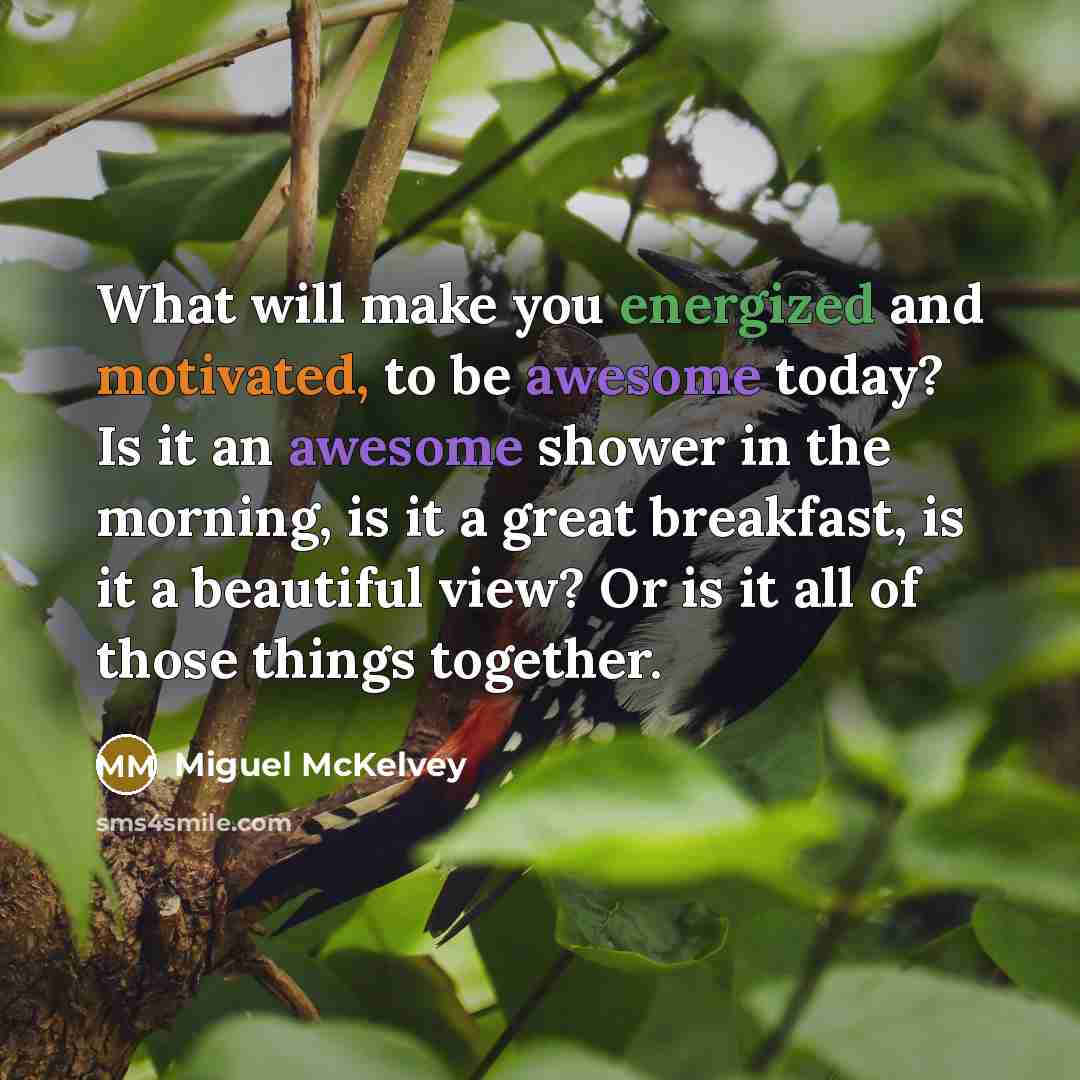 “What will make you energized and motivated, to be awesome today? Is it an awesome shower in the morning, is it a great breakfast, is it a beautiful view? Or is it all of those things together.” quote by Miguel McKelvey