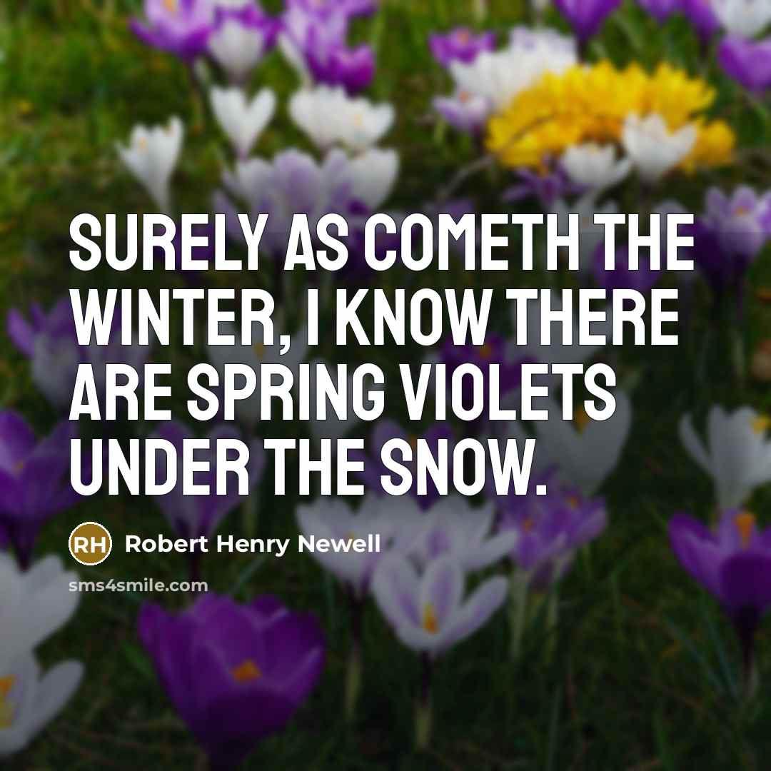 “Surely as cometh the Winter, I know There are Spring violets under the snow.” quote by Robert Henry Newell