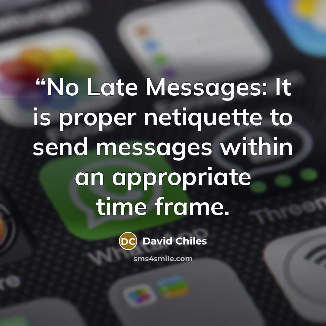 ““No Late Messages: It is proper netiquette to send messages within an appropriate time frame.” quote by David Chiles