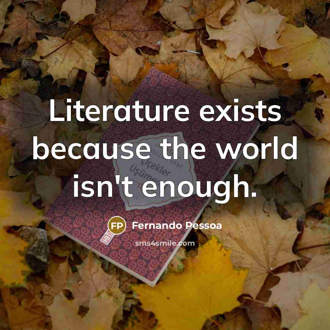 “Literature exists because the world isn't enough.” quote by Fernando Pessoa