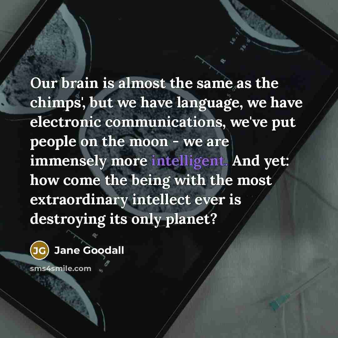 “Our brain is almost the same as the chimps', but we have language, we have electronic communications, we've put people on the moon - we are immensely more intelligent. And yet: how come the being with the most extraordinary intellect ever is destroying its only planet?” quote by Jane Goodall
