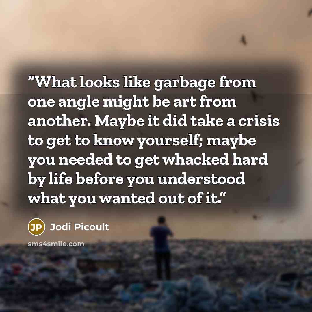 “What looks like garbage from one angle might be art from another. Maybe it did take a crisis to get to know yourself; maybe you needed to get whacked hard by life before you understood what you wanted out of it.” quote by Jodi Picoult