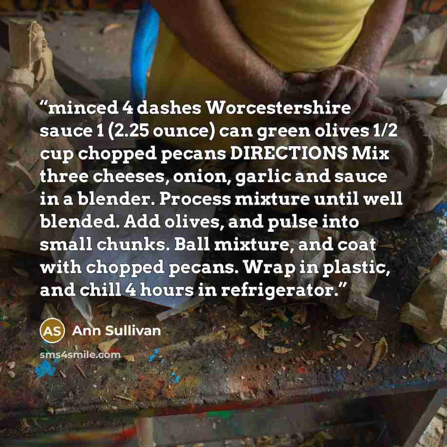 “minced 4 dashes Worcestershire sauce 1 (2.25 ounce) can green olives 1/2 cup chopped pecans DIRECTIONS Mix three cheeses, onion, garlic and sauce in a blender. Process mixture until well blended. Add olives, and pulse into small chunks. Ball mixture, and coat with chopped pecans. Wrap in plastic…” quote by Ann Sullivan