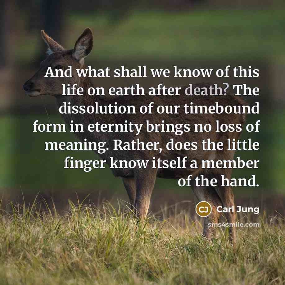 “And what shall we know of this life on earth after death? The dissolution of our timebound form in eternity brings no loss of meaning. Rather, does the little finger know itself a member of the hand.” quote by Carl Jung