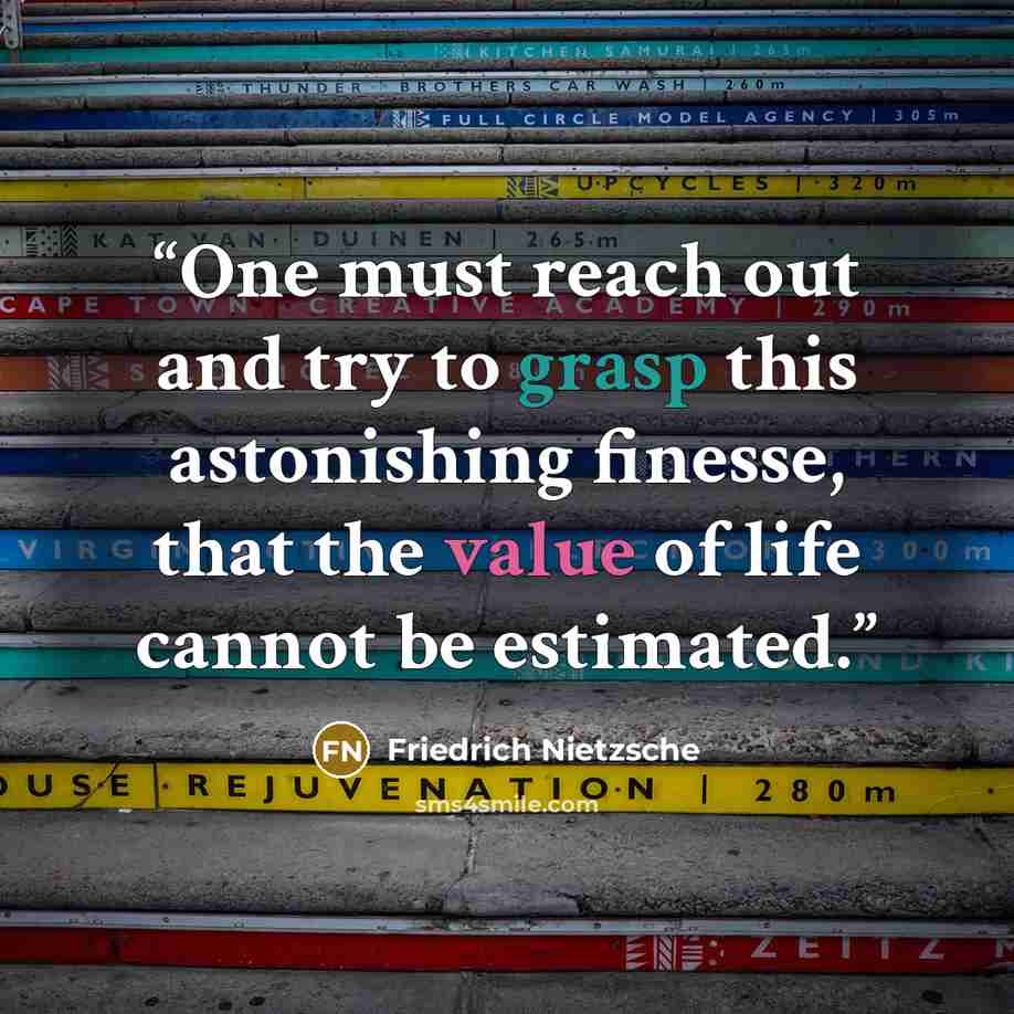 “One must reach out and try to grasp this astonishing finesse, that the value of life cannot be estimated.” quote by Friedrich Nietzsche