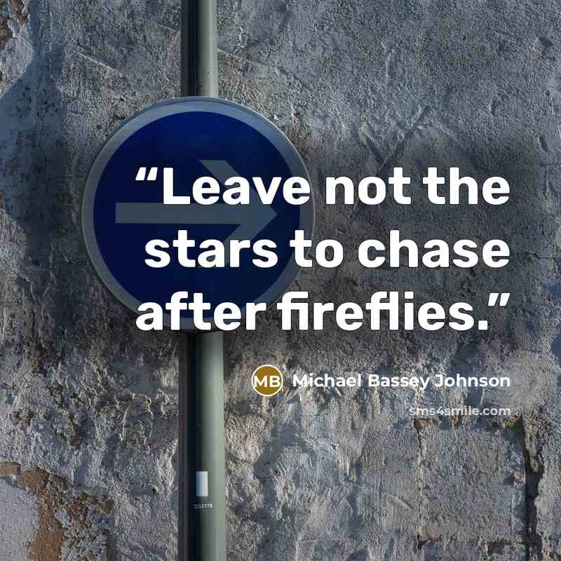 “Leave not the stars to chase after fireflies.” quote by Michael Bassey Johnson