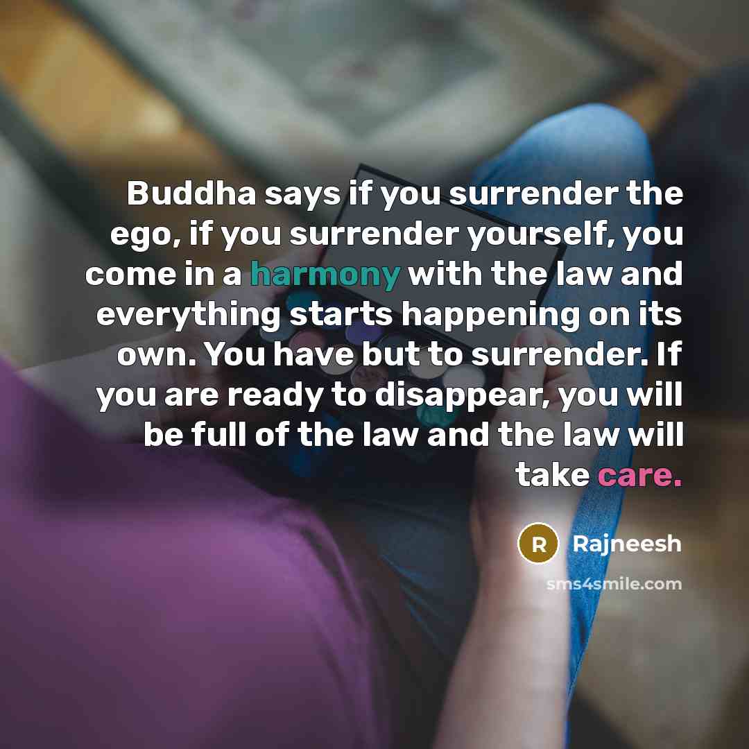 “Buddha says if you surrender the ego, if you surrender yourself, you come in a harmony with the law and everything starts happening on its own. You have but to surrender. If you are ready to disappear, you will be full of the law and the law will take care.” quote by Rajneesh