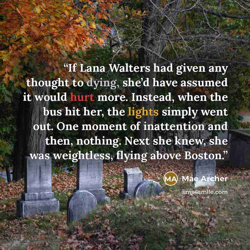 “If Lana Walters had given any thought to dying, she’d have assumed it would hurt more. Instead, when the bus hit her, the lights simply went out. One moment of inattention and then, nothing. Next she knew, she was weightless, flying above Boston.” quote by Mae Archer