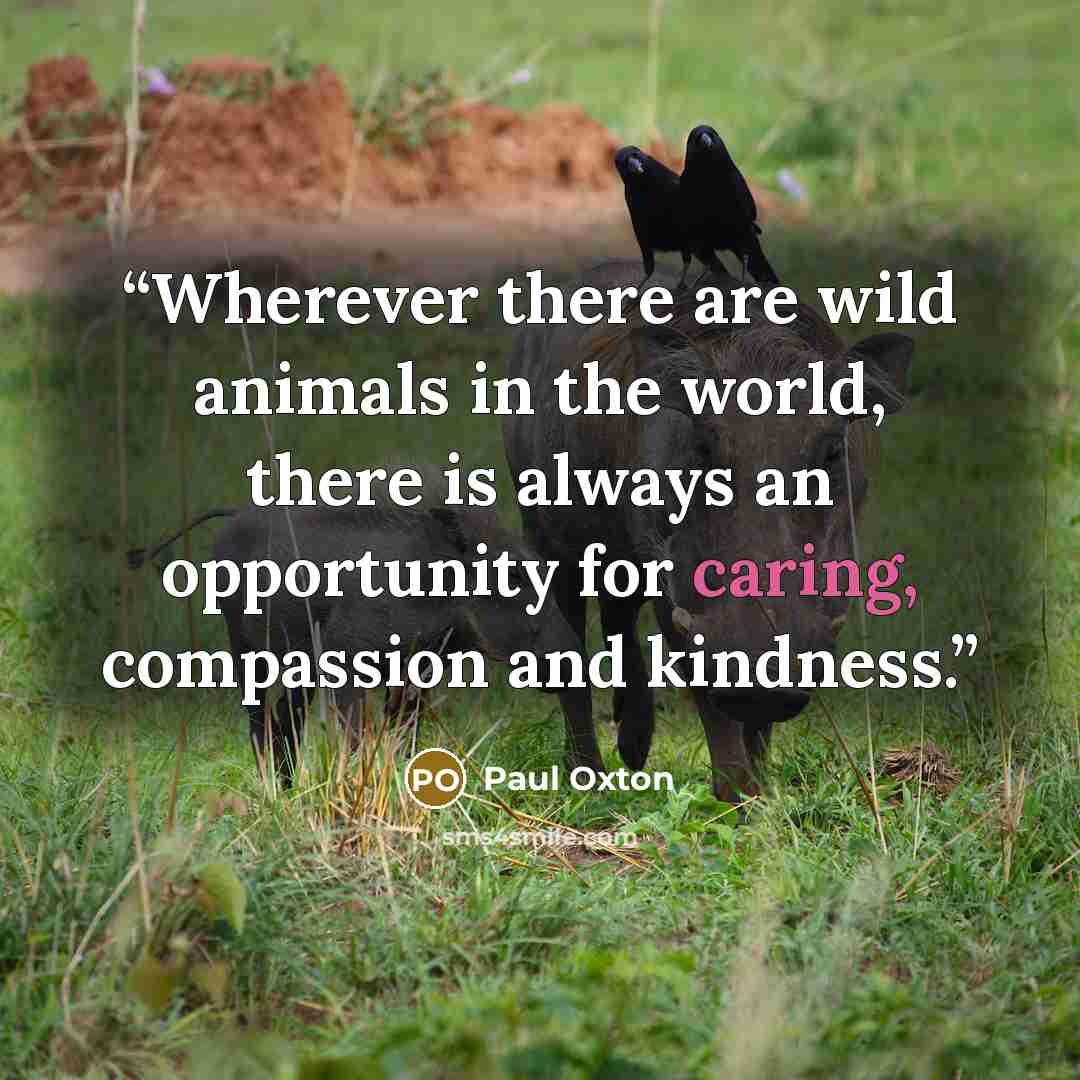 “Wherever there are wild animals in the world, there is always an opportunity for caring, compassion and kindness.” quote by Paul Oxton