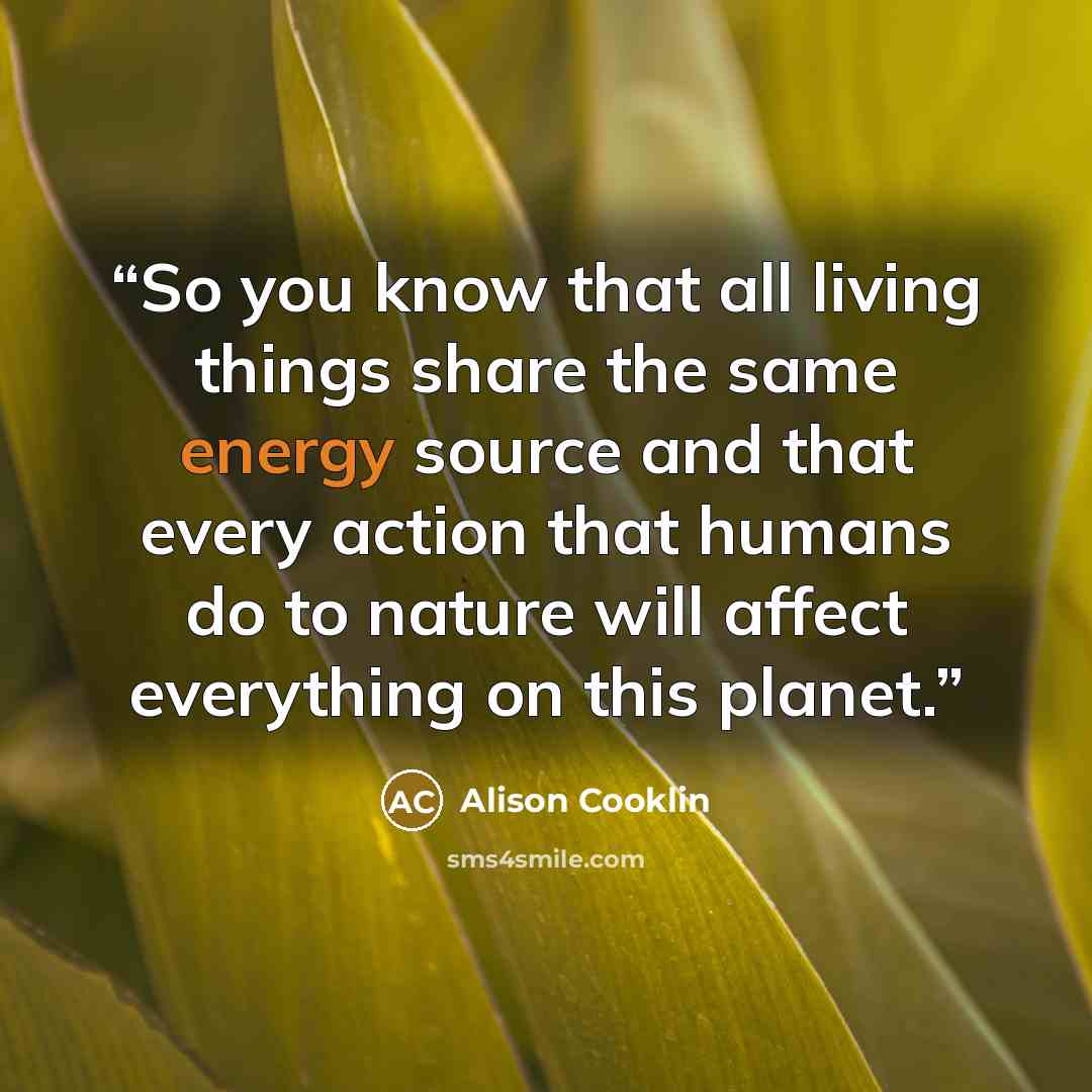 “So you know that all living things share the same energy source and that every action that humans do to nature will affect everything on this planet.” quote by Alison Cooklin