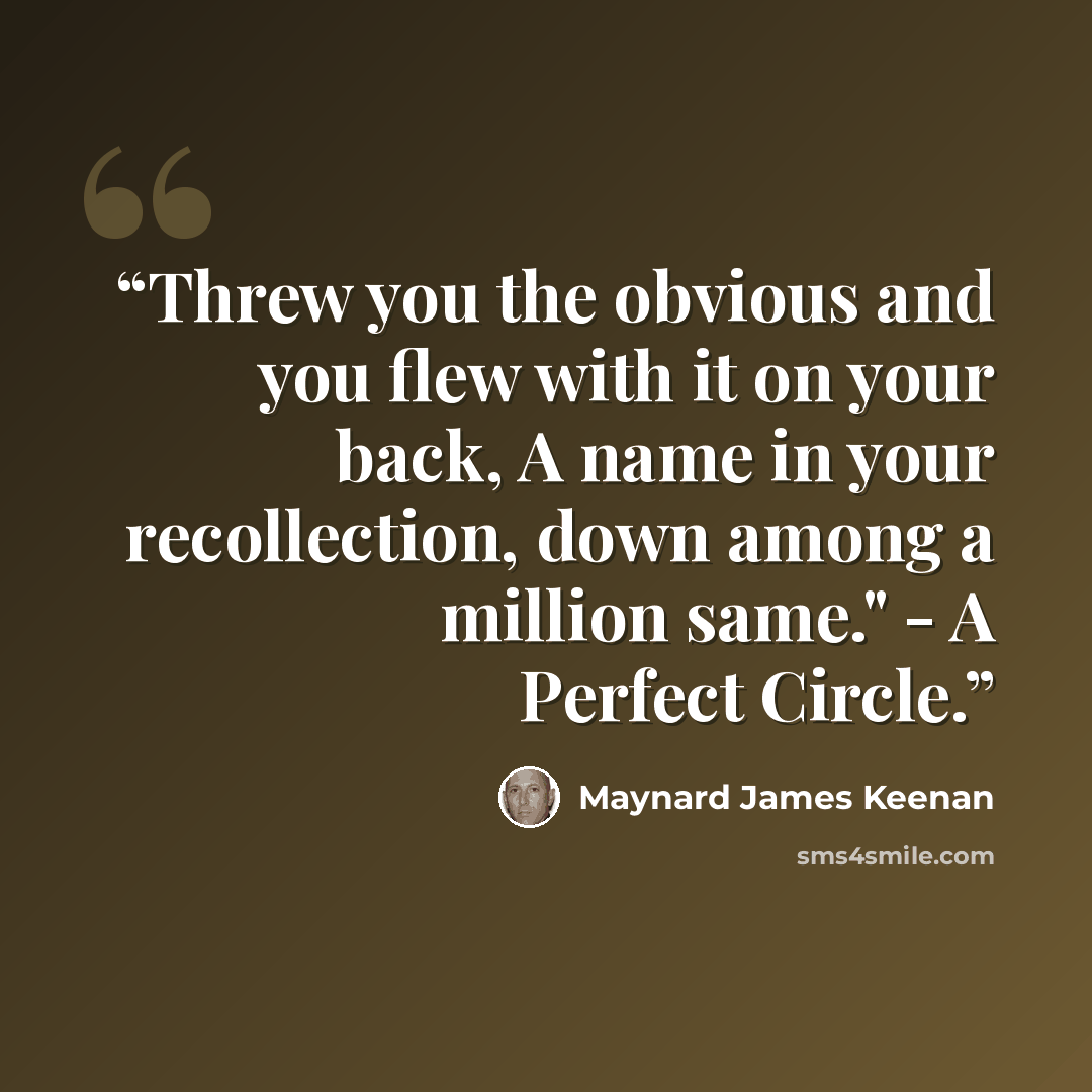 “Threw you the obvious and you flew with it on your back, A name in your recollection, down among a million same." - A Perfect Circle.” quote by Maynard James Keenan