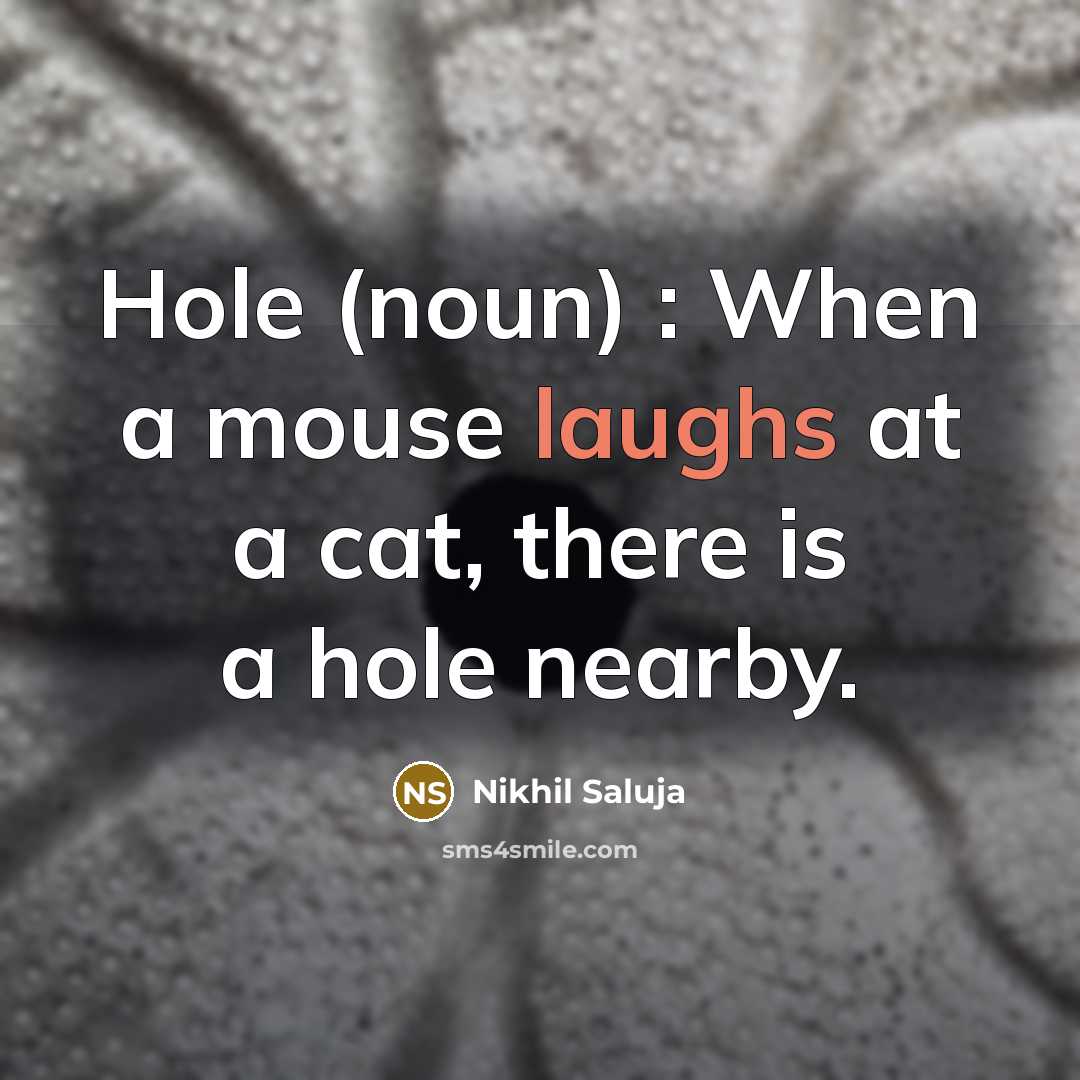 “Hole (noun) : When a mouse laughs at a cat, there is a hole nearby.” quote by Nikhil Saluja