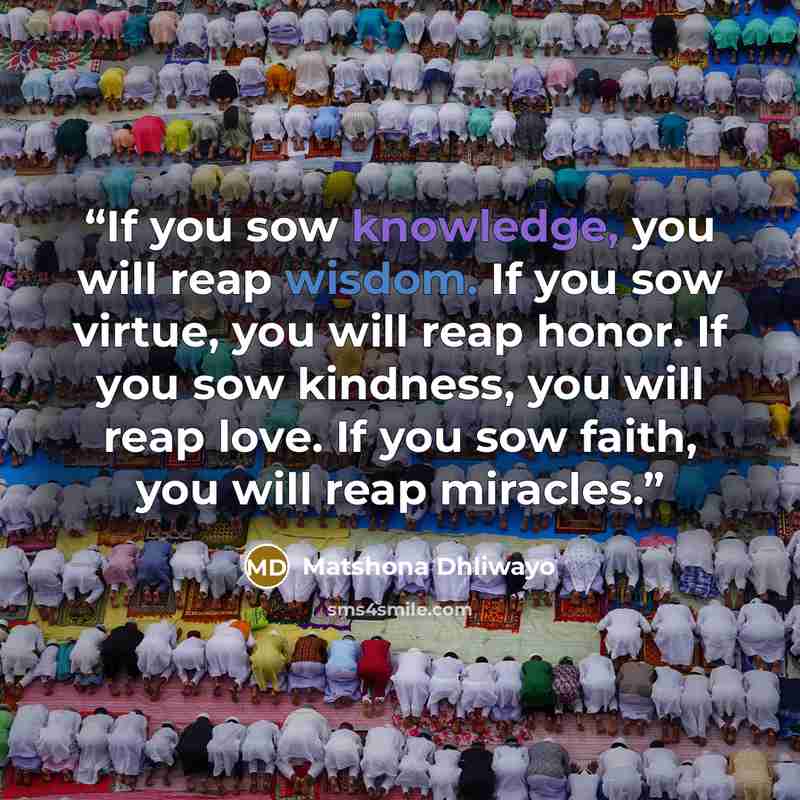 “If you sow knowledge, you will reap wisdom. If you sow virtue, you will reap honor. If you sow kindness, you will reap love. If you sow faith, you will reap miracles.” quote by Matshona Dhliwayo