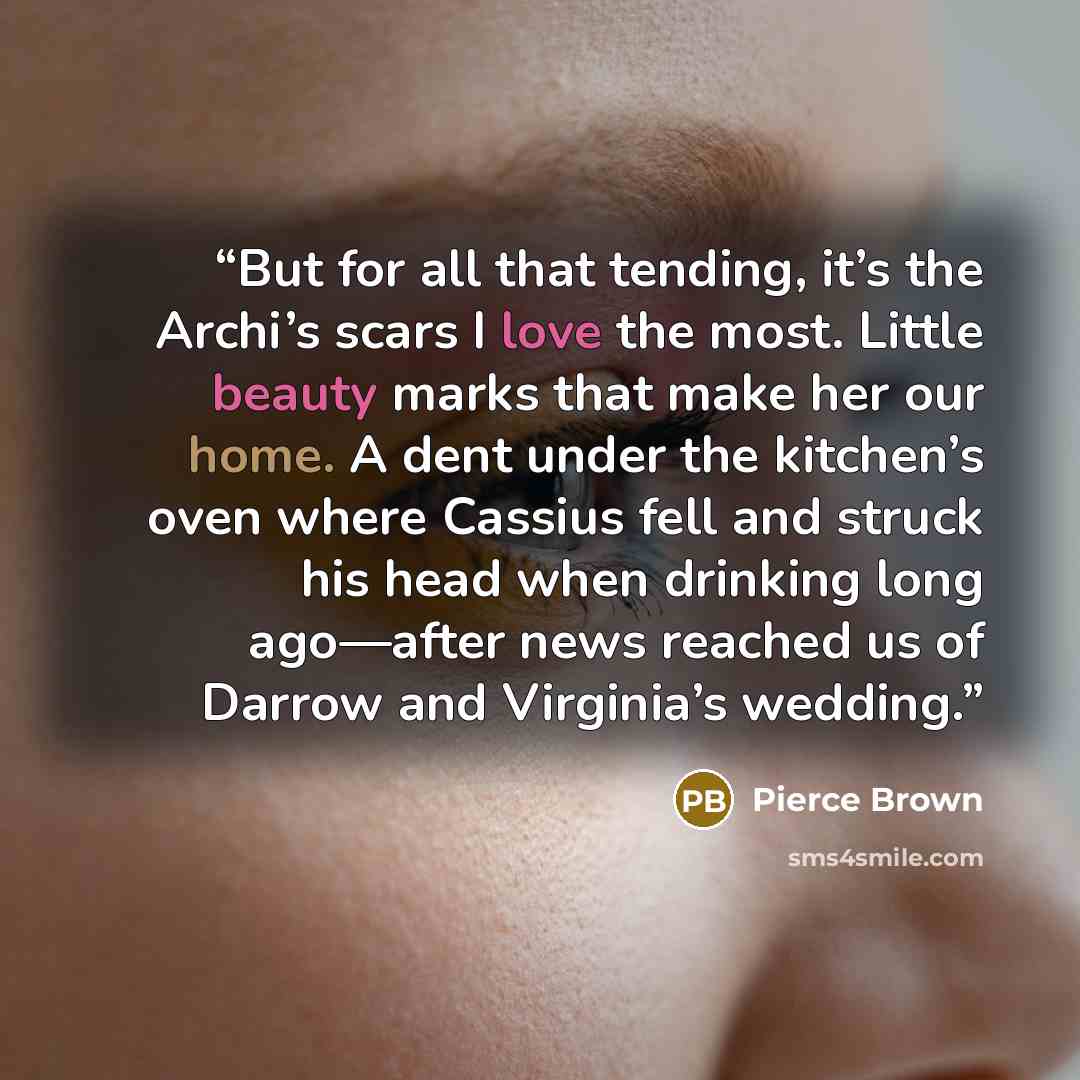 “But for all that tending, it’s the Archi’s scars I love the most. Little beauty marks that make her our home. A dent under the kitchen’s oven where Cassius fell and struck his head when drinking long ago—after news reached us of Darrow and Virginia’s wedding.” quote by Pierce Brown