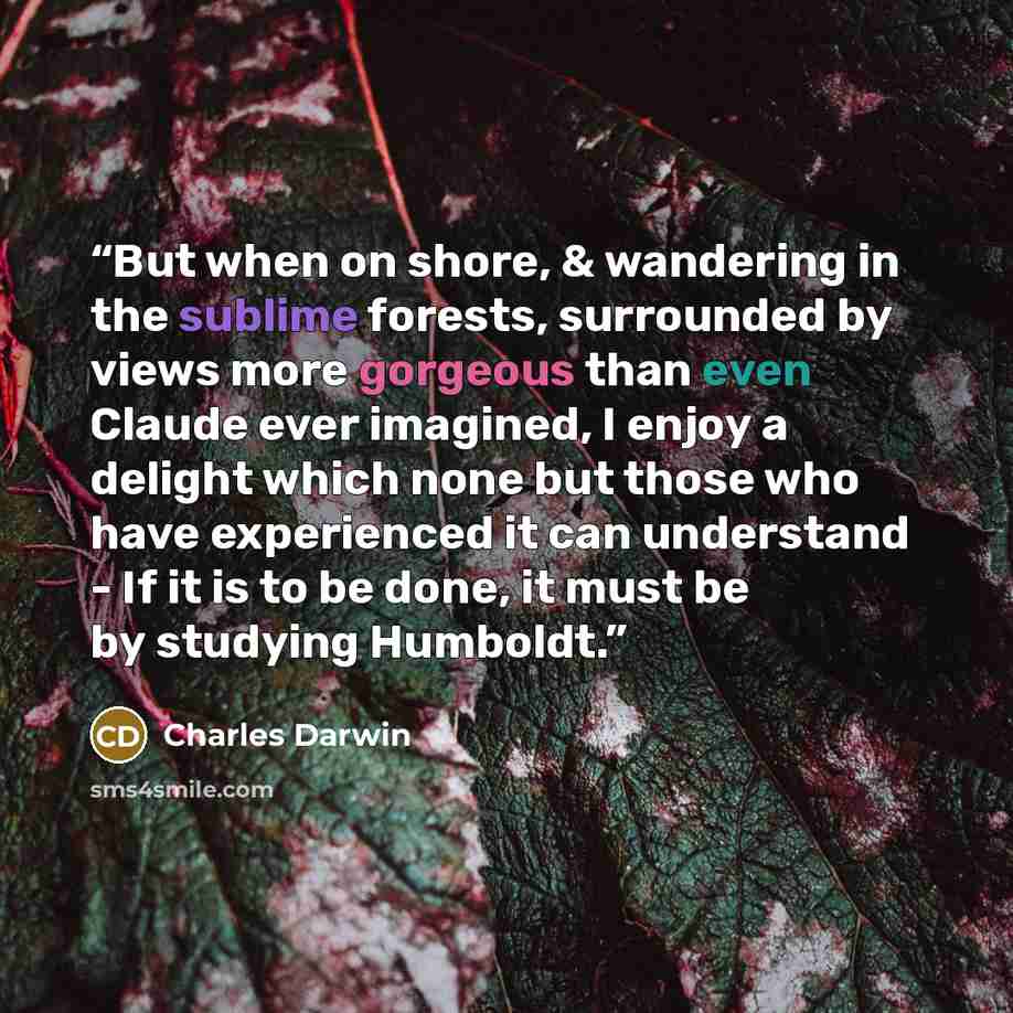 “But when on shore, & wandering in the sublime forests, surrounded by views more gorgeous than even Claude ever imagined, I enjoy a delight which none but those who have experienced it can understand - If it is to be done, it must be by studying Humboldt.” quote by Charles Darwin