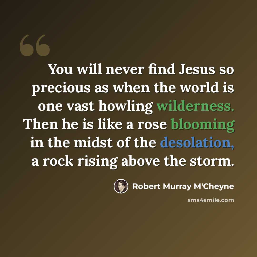 “You will never find Jesus so precious as when the world is one vast howling wilderness. Then he is like a rose blooming in the midst of the desolation, a rock rising above the storm.” quote by Robert Murray M'Cheyne
