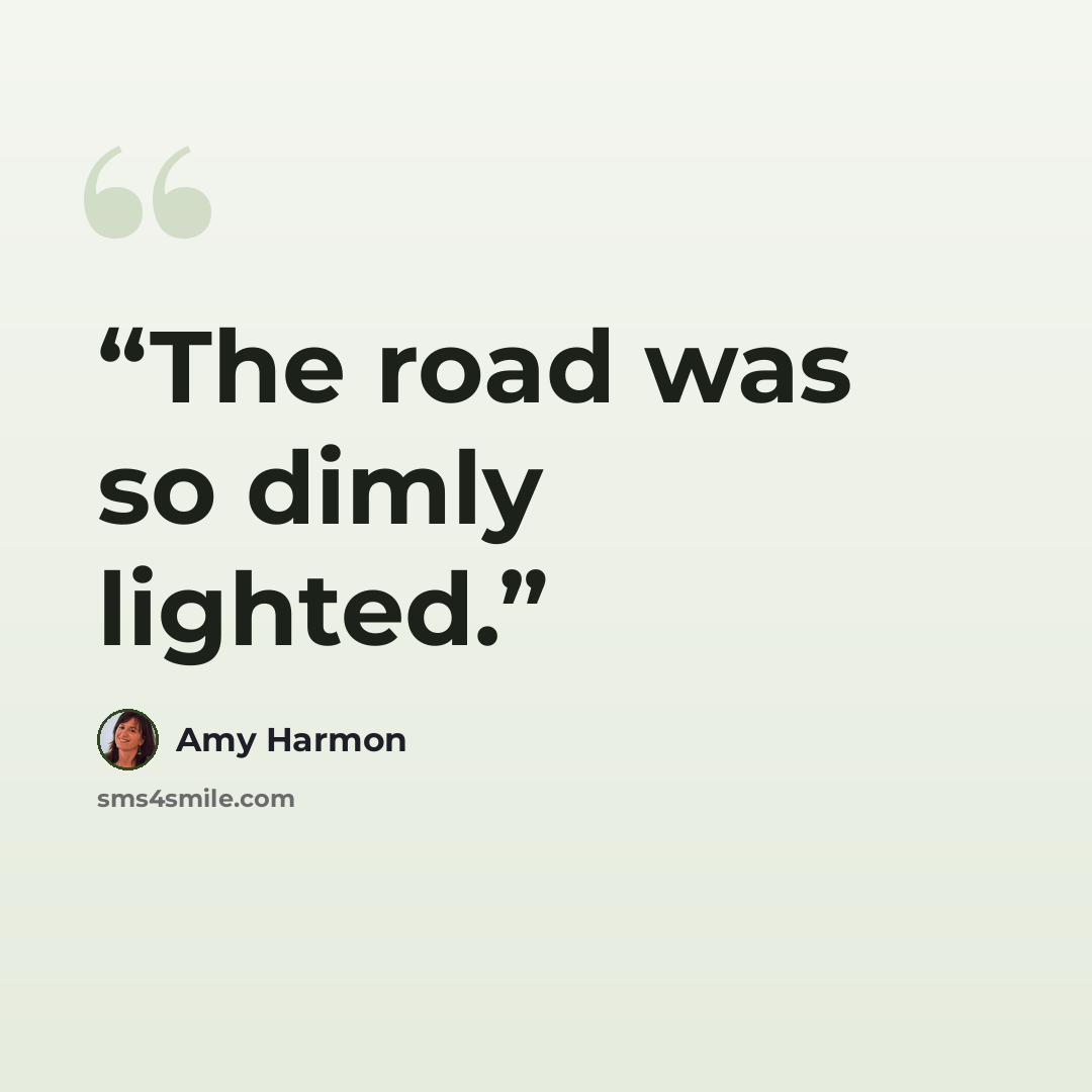 “The road was so dimly lighted.” quote by Amy Harmon