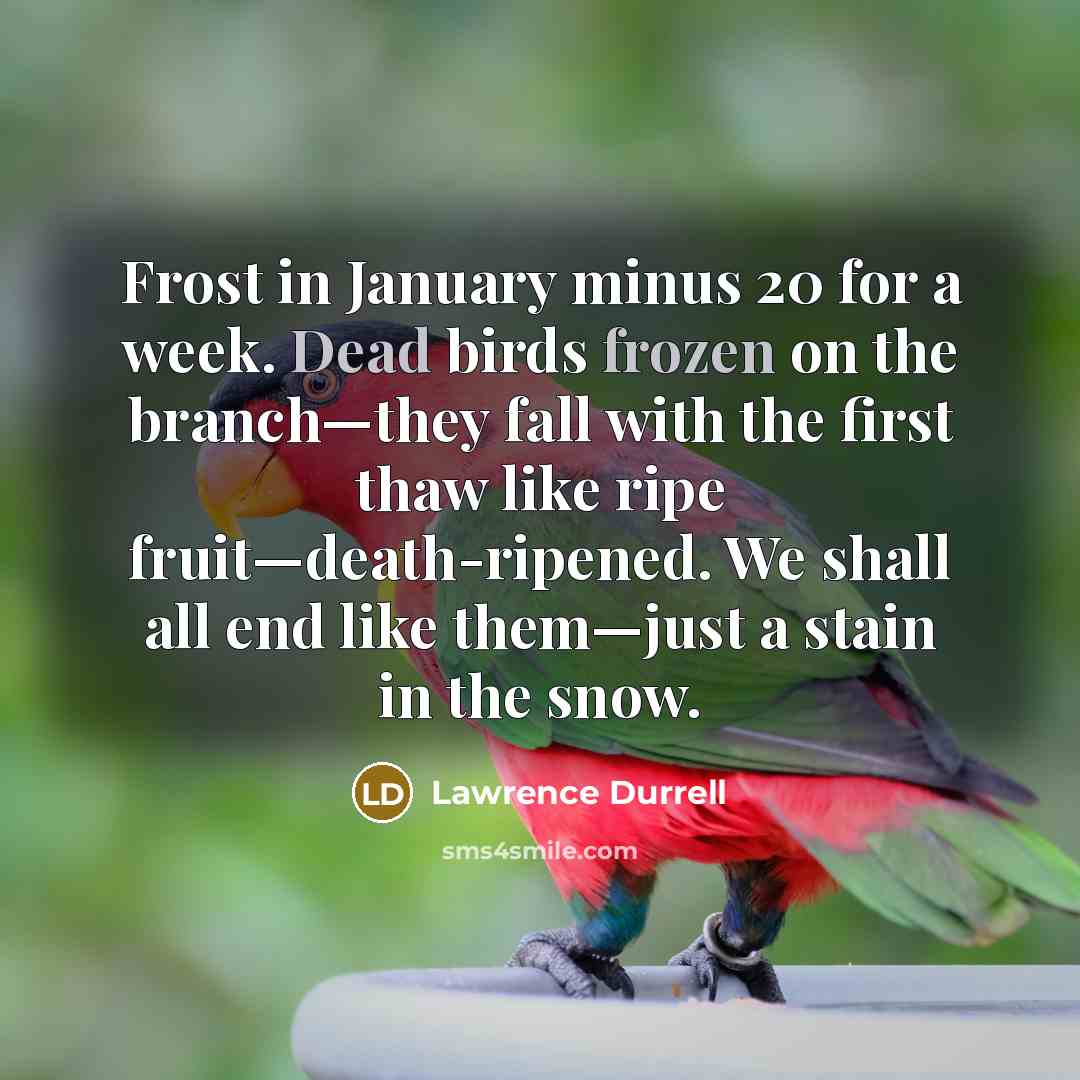 “Frost in January minus 20 for a week. Dead birds frozen on the branch—they fall with the first thaw like ripe fruit—death-ripened. We shall all end like them—just a stain in the snow.” quote by Lawrence Durrell