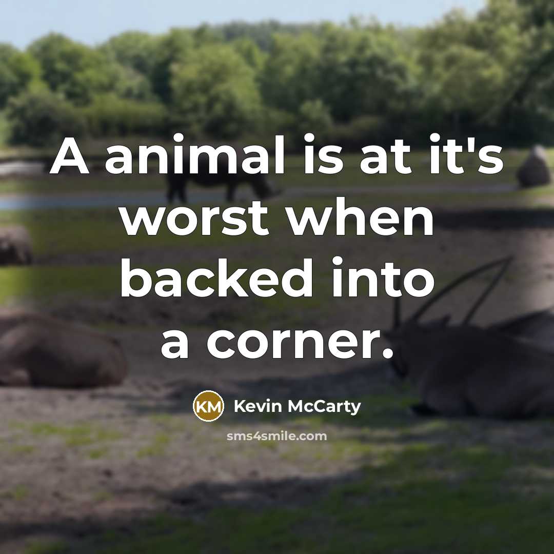 “A animal is at it's worst when backed into a corner.” quote by Kevin McCarty