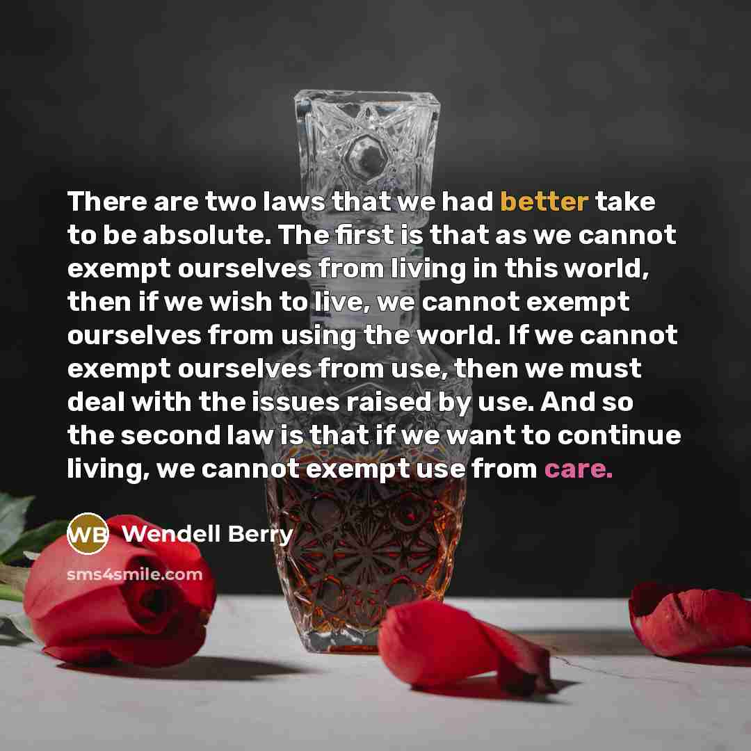 “There are two laws that we had better take to be absolute. The first is that as we cannot exempt ourselves from living in this world, then if we wish to live, we cannot exempt ourselves from using the world. If we cannot exempt ourselves from use, then we must deal with the issues raised by use…” quote by Wendell Berry