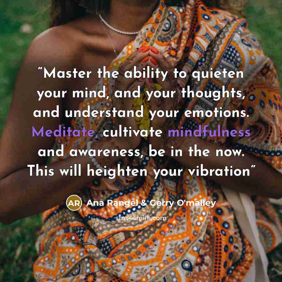 “Master the ability to quieten your mind, and your thoughts, and understand your emotions. Meditate, cultivate mindfulness and awareness, be in the now. This will heighten your vibration” quote by Ana Rangel & Gerry O'malley