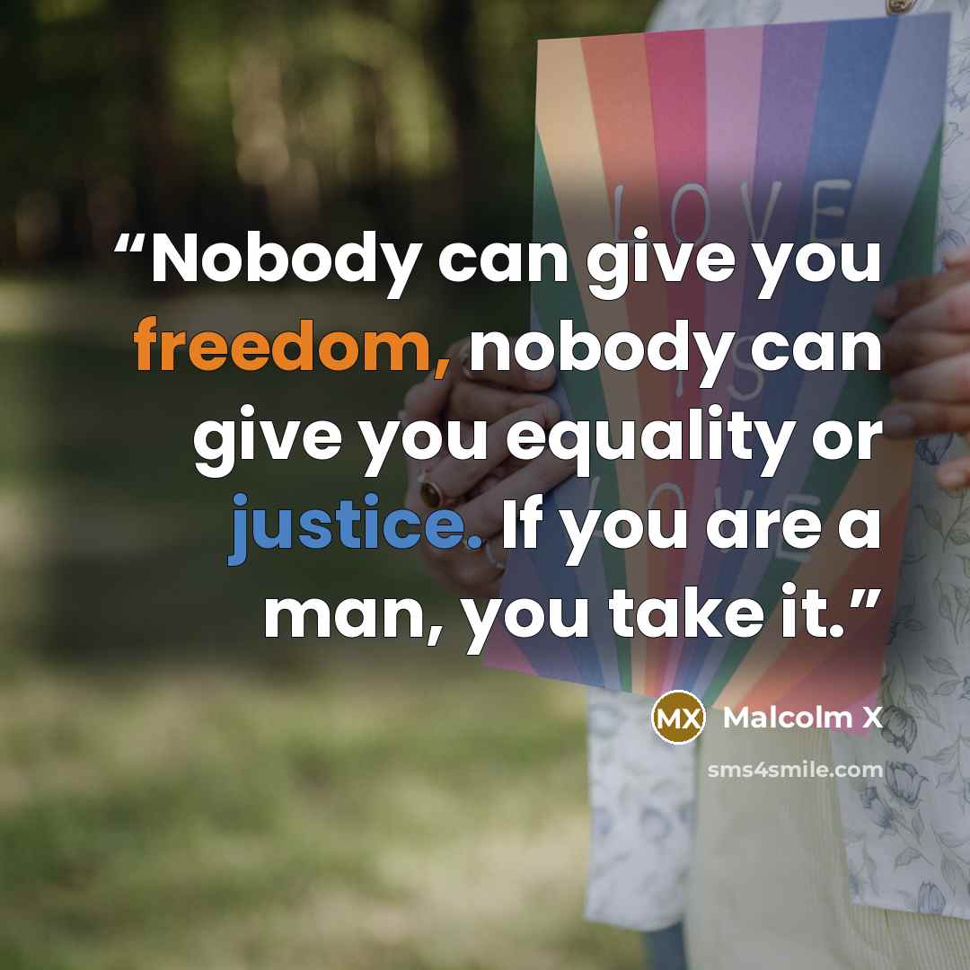 “Nobody can give you freedom, nobody can give you equality or justice. If you are a man, you take it.” quote by Malcolm X
