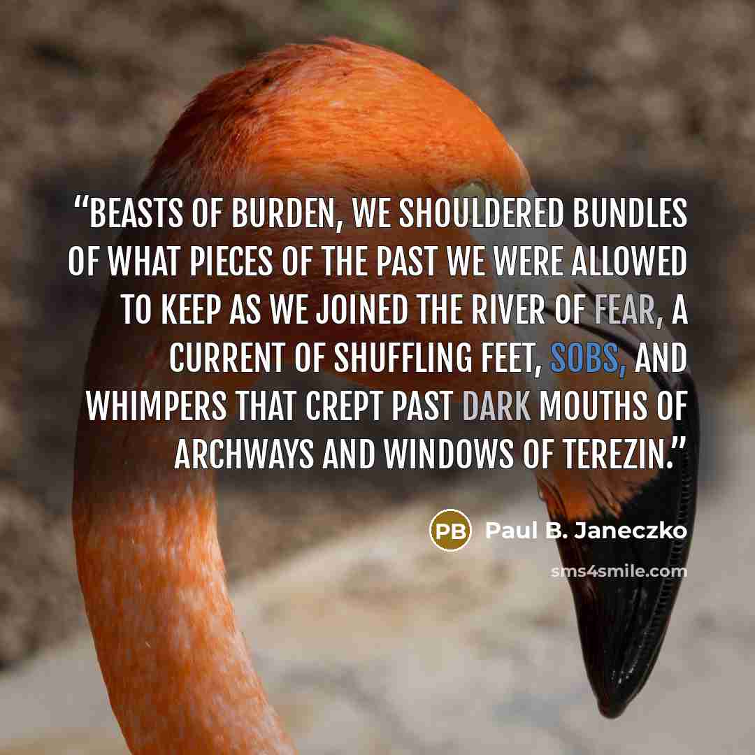 “Beasts of burden, we shouldered bundles of what pieces of the past we were allowed to keep as we joined the river of fear, a current of shuffling feet, sobs, and whimpers that crept past dark mouths of archways and windows of Terezin.” quote by Paul B. Janeczko