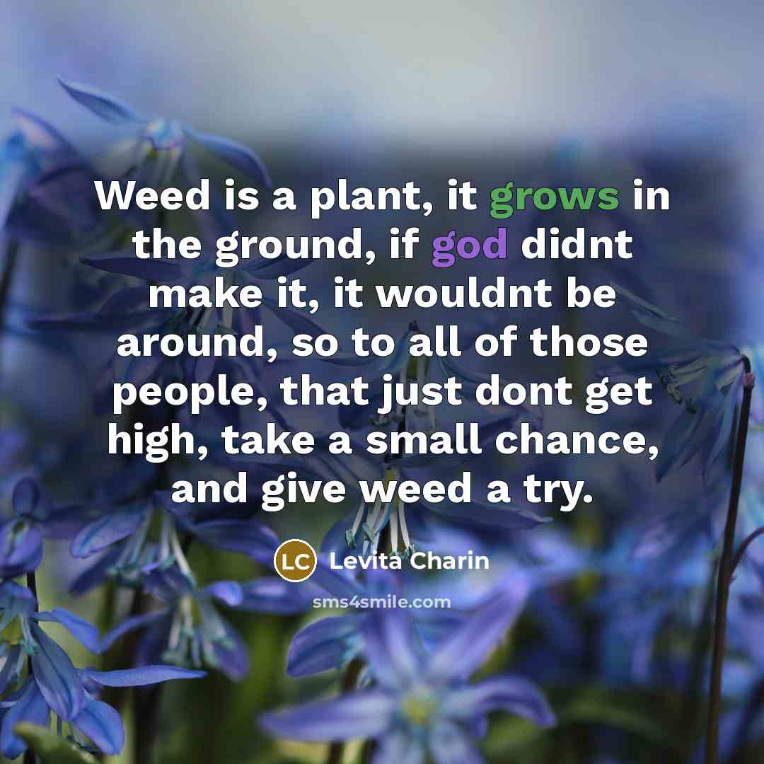 “Weed is a plant, it grows in the ground, if god didnt make it, it wouldnt be around, so to all of those people, that just dont get high, take a small chance, and give weed a try.” quote by Levita Charin