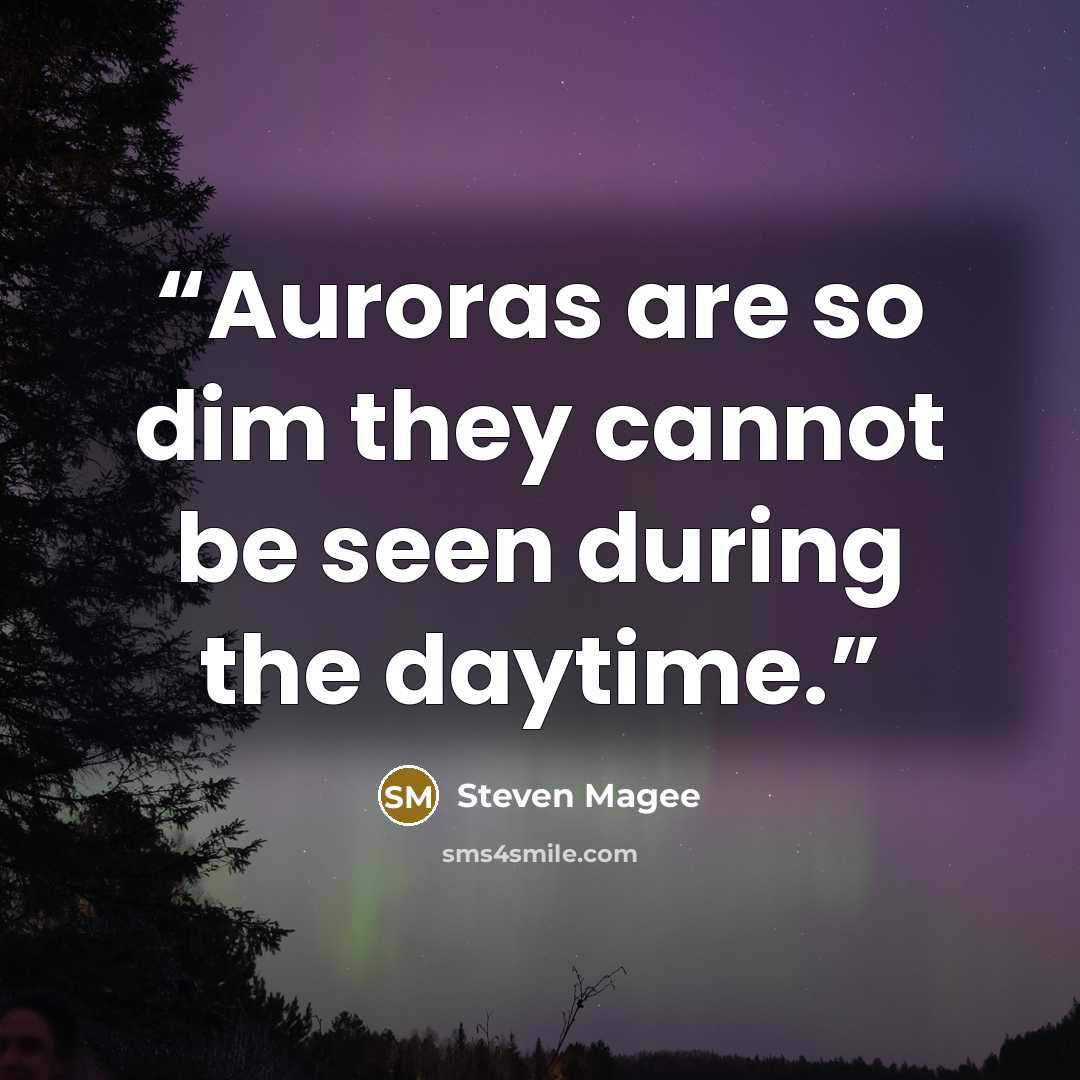 “Auroras are so dim they cannot be seen during the daytime.” quote by Steven Magee