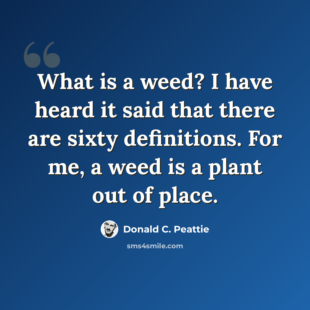 “What is a weed? I have heard it said that there are sixty definitions. For me, a weed is a plant out of place.” quote by Donald C. Peattie